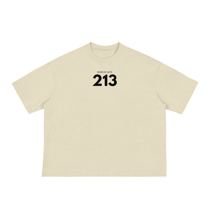 Acts 2:13 Boxy Tee (Light Colors)