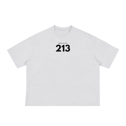 Acts 2:13 Boxy Tee (Light Colors)